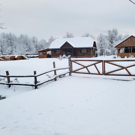 Villa Kuca Za Odmor Jopi I Mare Topusko Exterior foto